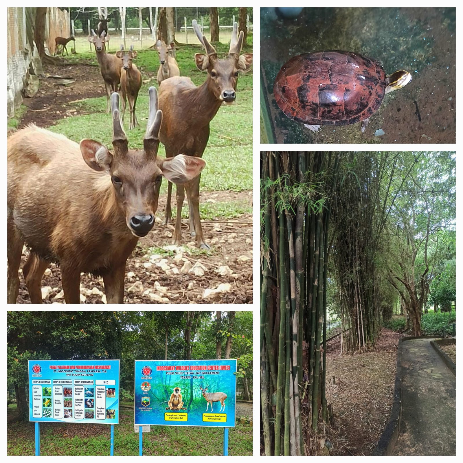 Dukung Pariwisata Kotabaru, Indocement Tarjun Siapkan Obyek Wisata Baru Eco Edupark