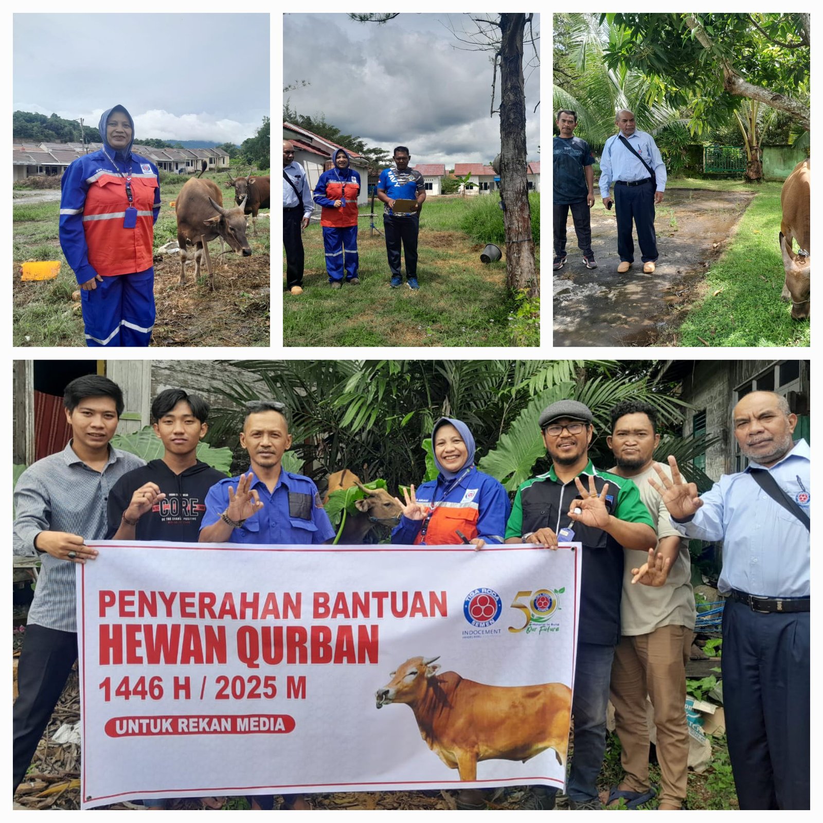 Lagi, Indocement Tarjun Serahkan Hewan Qurban Untuk Awak Media Kotabaru pada Idul Adha 1446H