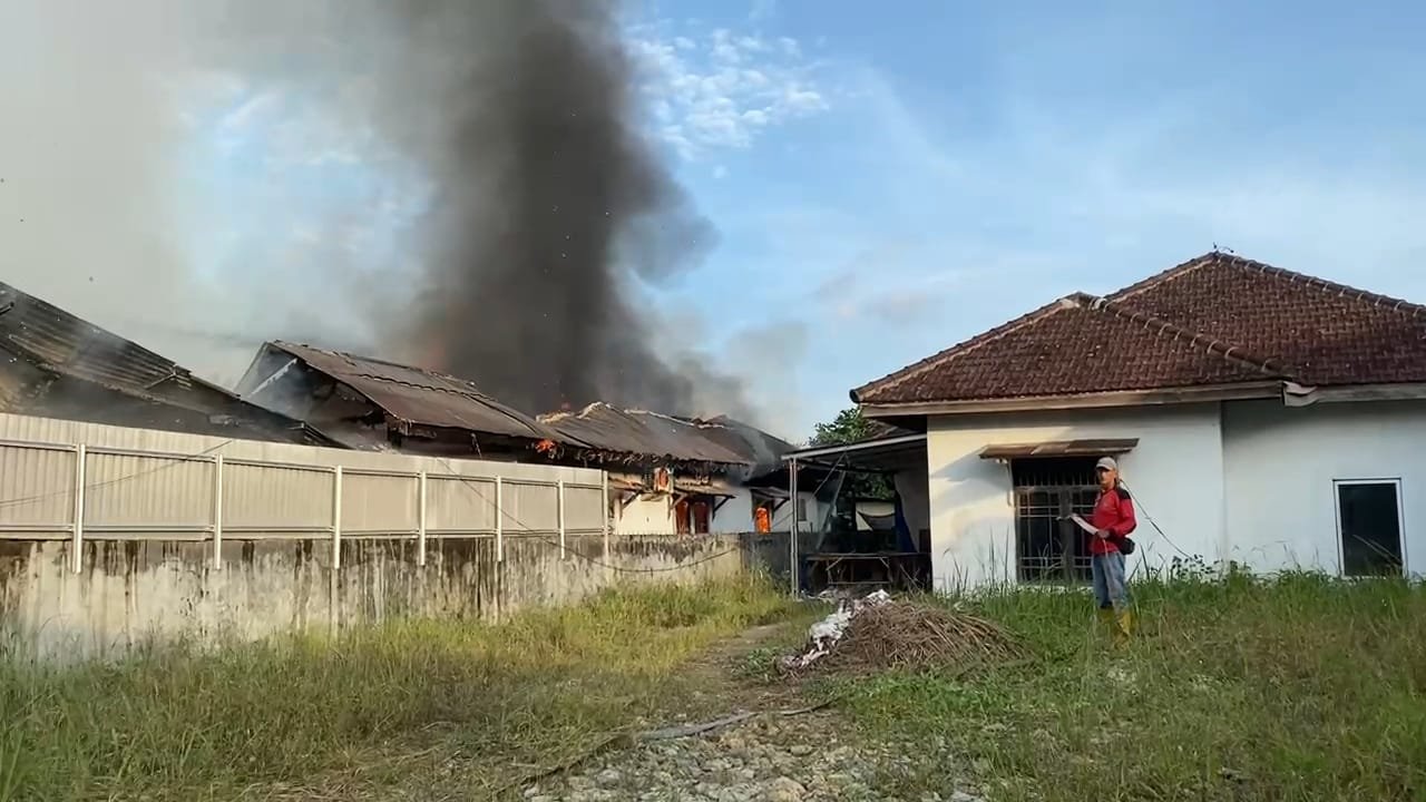 Sijago Merah Hanguskan Rumah Makan Disamarinda Utara, Diduga Akibat Arus Pendek